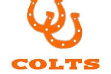 Photo of Arden Matthew Photo of Arden Matthew