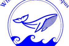 Photo of Inez Ford Photo of Inez Ford