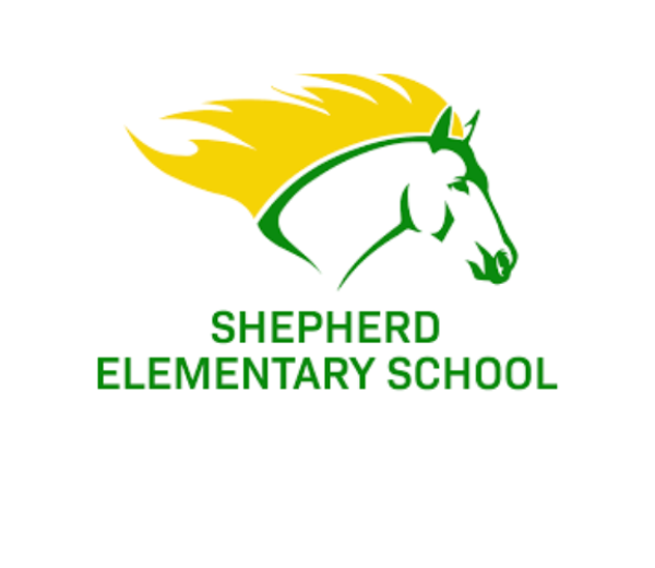 David Bardach | DCPS Provider Directory - School Mental Health